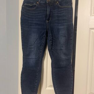 Judy Blue Dark Wash Skinny Jeans
